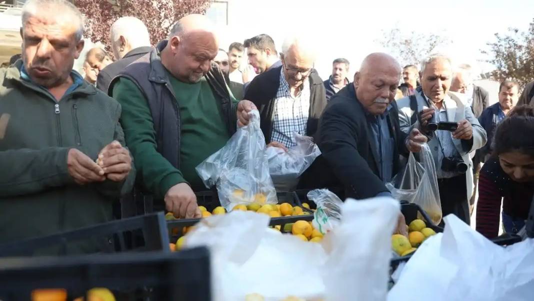 Hatay’da Mandalina Bolluğu: Tarlada Fiyatlar 2 TL’ye Kadar Geriledi 3